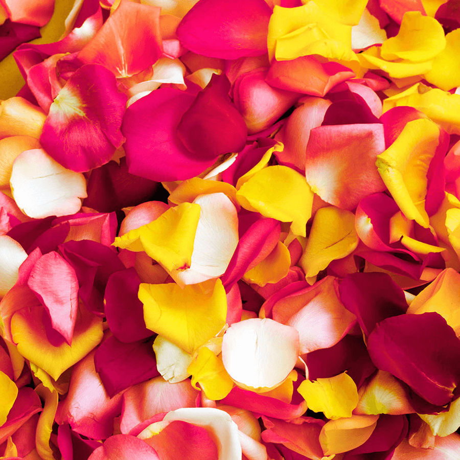 bg petals surprise delivery