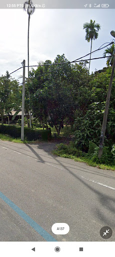 Bonda Cakes Delicius