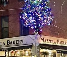 Mazli Bakery