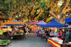 Pekan Sehari Temerloh 6 Pekan Sehari Temerloh