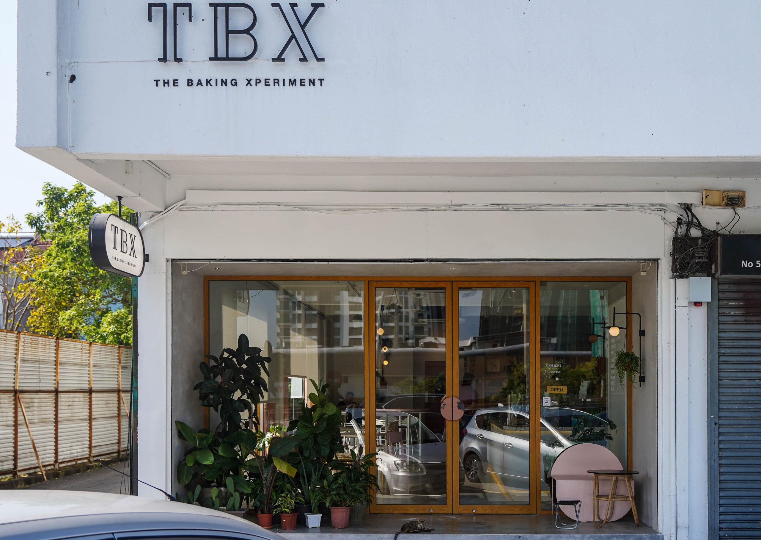tbx the baking xperiment scaled