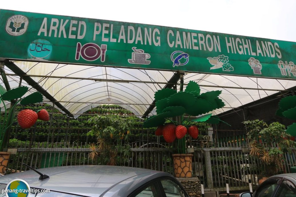 Arked Peladang Cameron Highlands 1 arked peladang cameron highlands