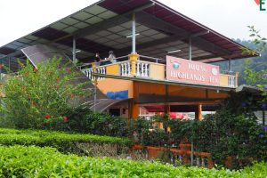 Cameron Valley Tea House 3 (Kuala Terla)