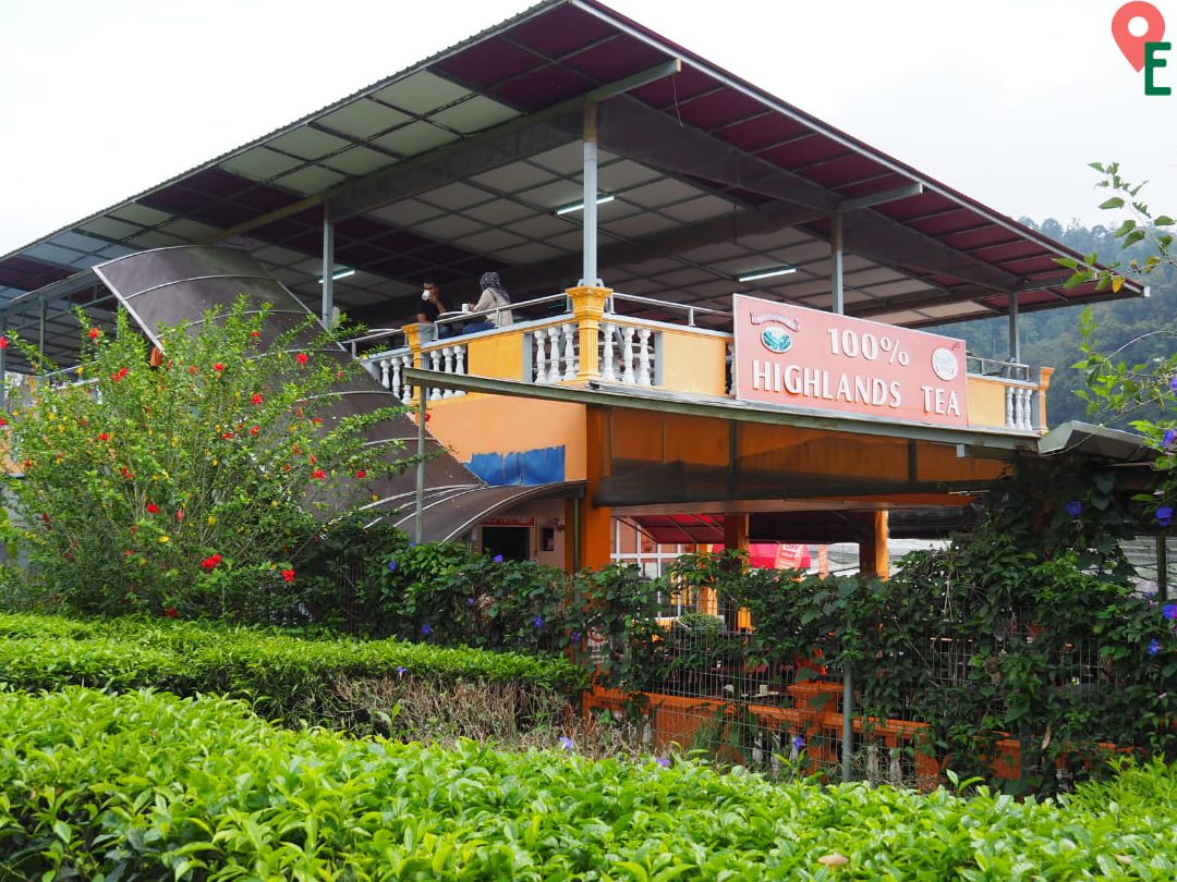 cameron valley tea house 3 kuala terla