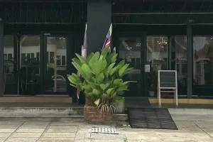 Sara Sofeya Cafe & Cakes