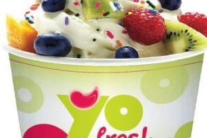 Your Girl Yogurt Cafe
