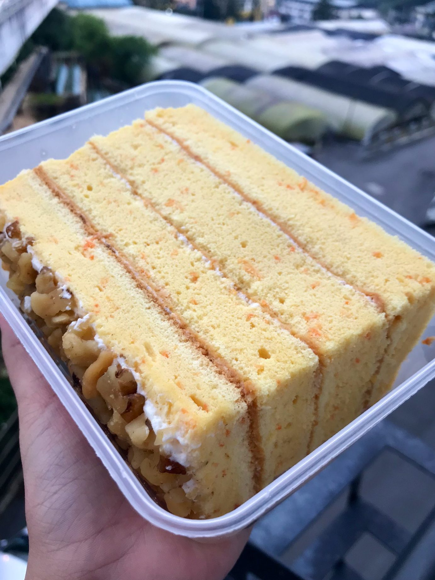 Pak Tam Kek Viral Cameron Highlands 1 pak tam kek viral cameron highlands